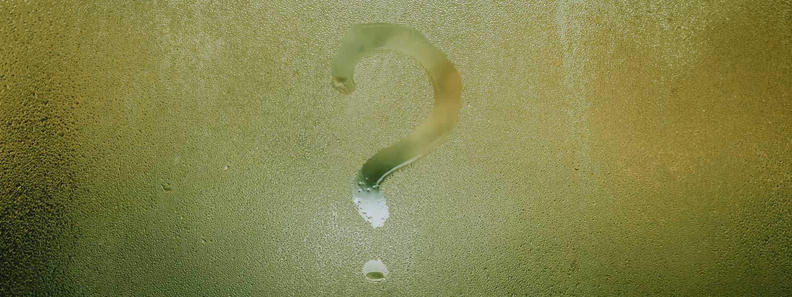 frequently asked questions